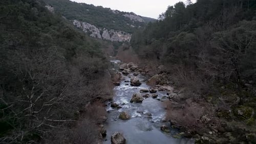 Drohne folgt dem Flusslauf zwischen den Waldbäumen und den Rocky Mountains auf bewölktem Himmel