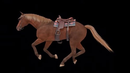 Horse with Tack Horse with Gallop Run