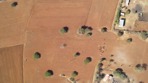 Drone view of the rural kenya. Drought crisis in kenya - climate change in kenya