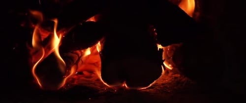Bright orange fire flames and burning logs in foreground with black background.