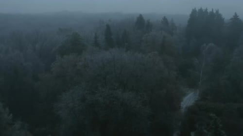 Icy Forest Aerial View in Winter