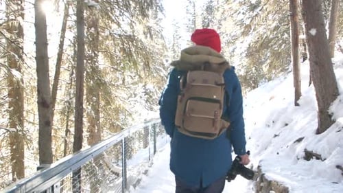 Wanderer im Winterwald und im Wald in Zeitlupe
