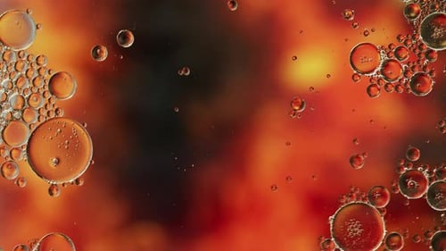 Colorful Oil Bubbles Moving On A Water Surface 087