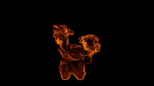 The letter N burning on transparent background