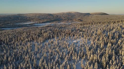 Snowy Forest Aerial in Winter Landscape