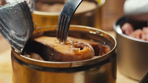 Canned Fish Chunk Being Lifted with Fork