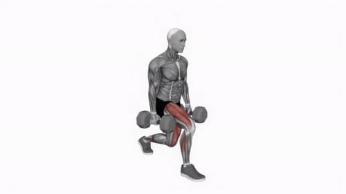 Dumbbell Lunge Exercise with Muscle Activation Animation