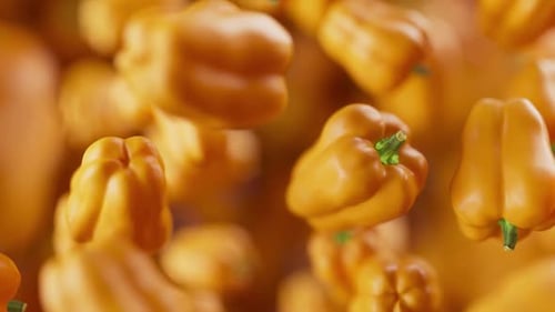 Close Up of Falling Yellow Bell Peppers in Slow Motion
