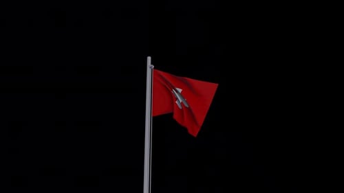 Realistic Waving Swiss Flag Animation