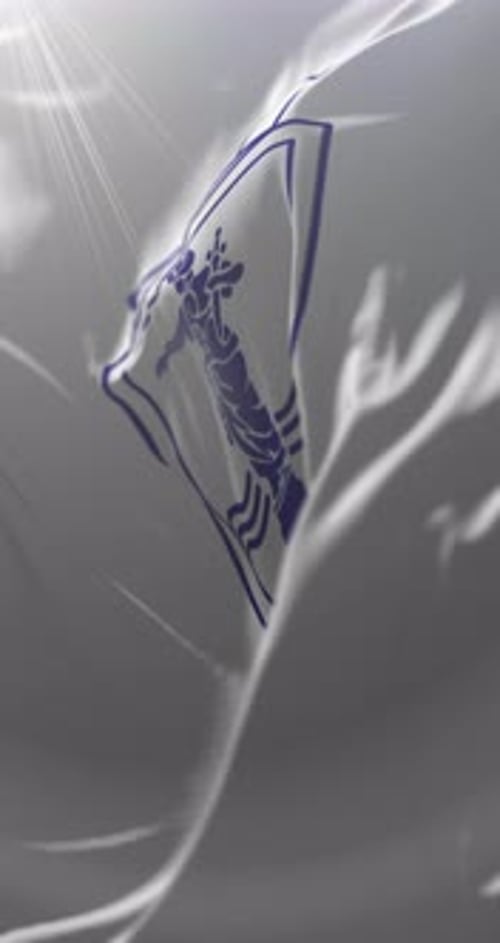 Elegant 3D White Waving Flag with Emblem Reveal Animation