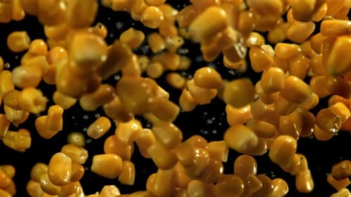 Canned Corn Flies Up and Falls Down Filmed on a Highspeed Camera at 1000 Fps