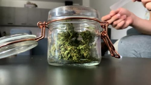Close up of a jar full of weedon a table, and a girl rolling a joint in the background