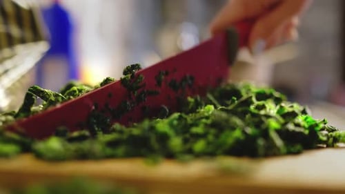 Hd Healthy Green Spinach Leaves In Focus