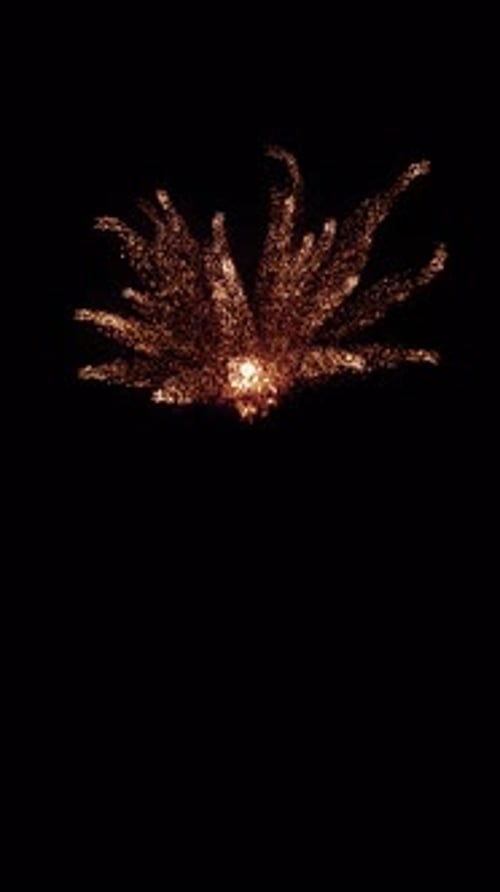 Golden Particle Burst Effect Reveal