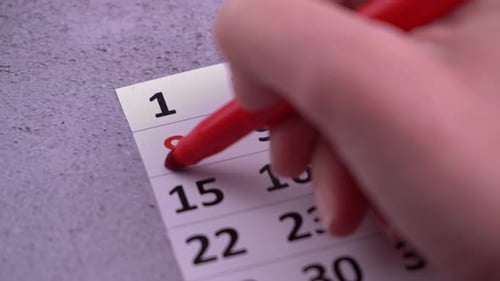 Plan a Work Week Circle and Strike Through Calendar Dates Write with a Red Felttip Pen Planning