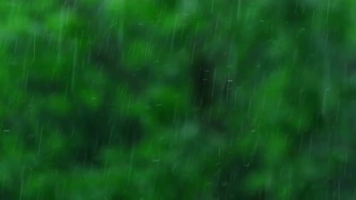 Heavy Rain Pouring Shower Thunderstorm in Summer Green Trees on Background Windy Rainy Weather Close