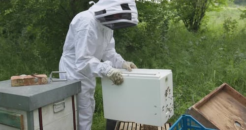 Beekeeper Tending to Beehive in Rural Setting