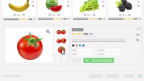 Animated E-commerce Website User Interface for Online Shopping