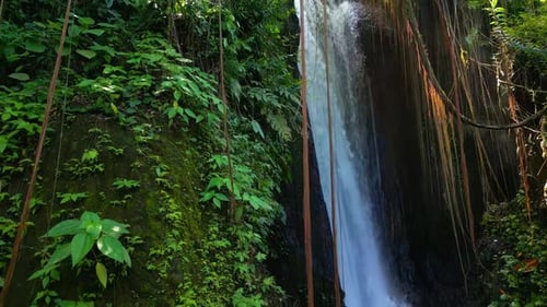 Arial View Green Nature of Forest Waterfall and Wet Mountain in River