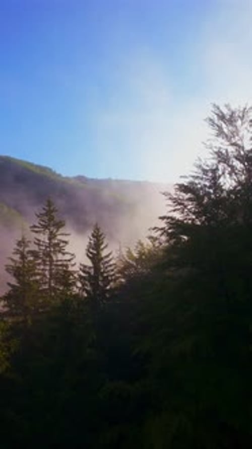 Aerial Vertical Video of a Lush Green Valley at Sunrise with Misty Hills Forest Trees and Soft