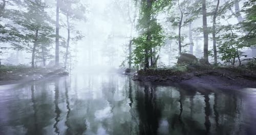 Misty Forest with Tranquil Water Reflecting Trees at Dawn