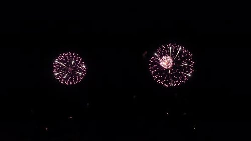 Fireworks Pink Color