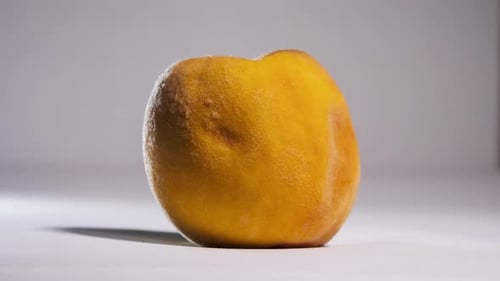 Decaying Peach Time-Lapse