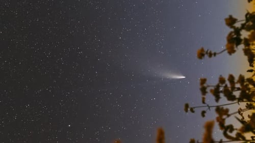 Comet Streaking Across the Starry Night Sky