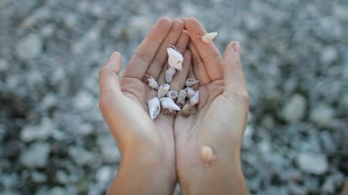 Person, die Händchen vor einem Muschelhaufen hält