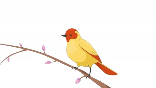 Songbird perched on bud branch 2D character animation
