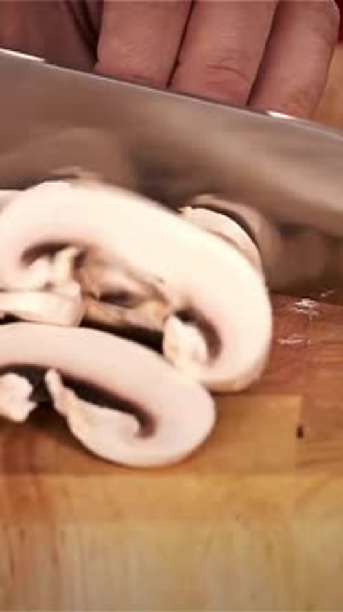 Vertical View Of Mushrooms