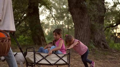Family with a dog enjoying a walk in the forest while preparing for a picnic