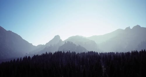 Mountain Landscape with Forest at Sunrise in a Peaceful Natural Setting