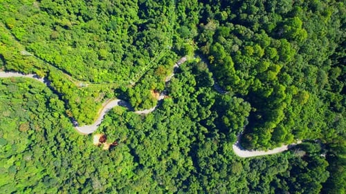 Autos fahren auf kurvenreicher Straße im berggrünen tropischen Regenwald