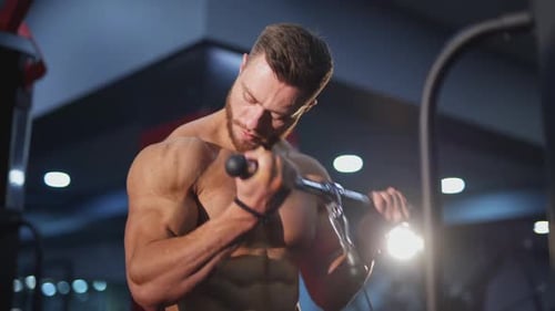 Muscular Man Working Out Biceps at Gym