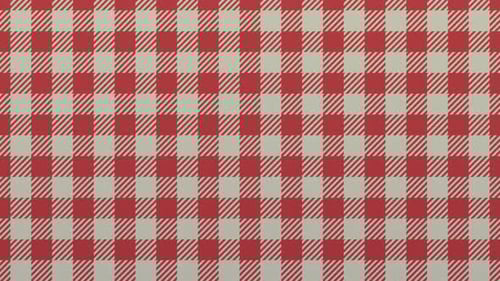 Classic Red and White Gingham Pattern Loop