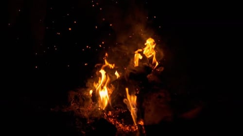 2K Camp Fire
