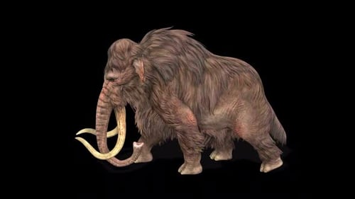 Mammoth Walk Idle 2