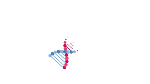 Animated DNA Double Helix Formation Reveal
