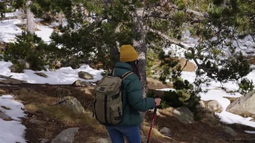 Young Woman Hiking in a Snowy Forest Enjoying the Adventure