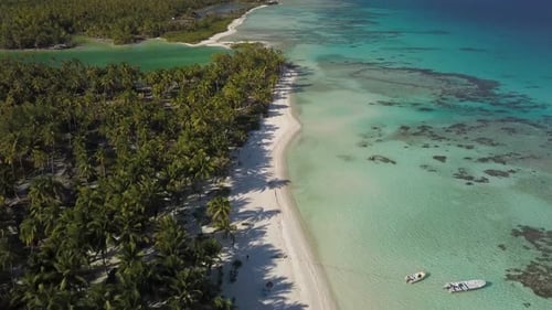 Aerial drone shot of a tropical beach and lagoon with long shadows of coconut palm trees. Flying for