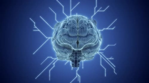 Digital Brain with Neural Connections