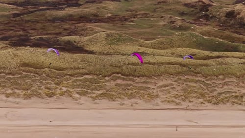 Paragliders with pink and purple kites soar along Dutch coastal dunes, aerial