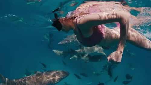 Woman Swimming Underwater with Sharks in Tropical Ocean