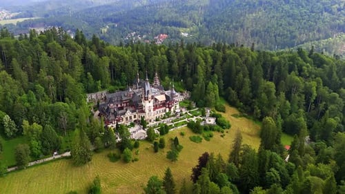 Gorgeous castle on the top of the mountain surrounded by the lush green pine tree wood.
