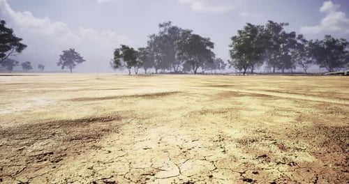 Dry Arid Cracked Earth Landscape with Trees