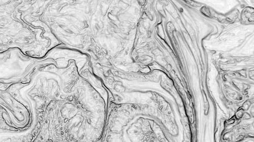 Monochrome Abstract Texture Background with Marbled Effect