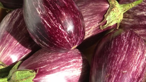 Eggplant in Strips Vegetable Food