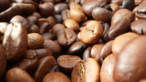 Roasted coffee beans in close-up.