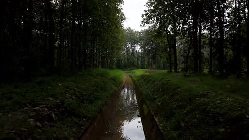 Drohnenblick auf einen kleinen Fluss im Wald
